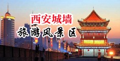 女生和女生日逼视频网站中国陕西-西安城墙旅游风景区